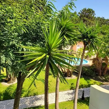 Casa de Férias Cantinho Da Carminho 145978/al